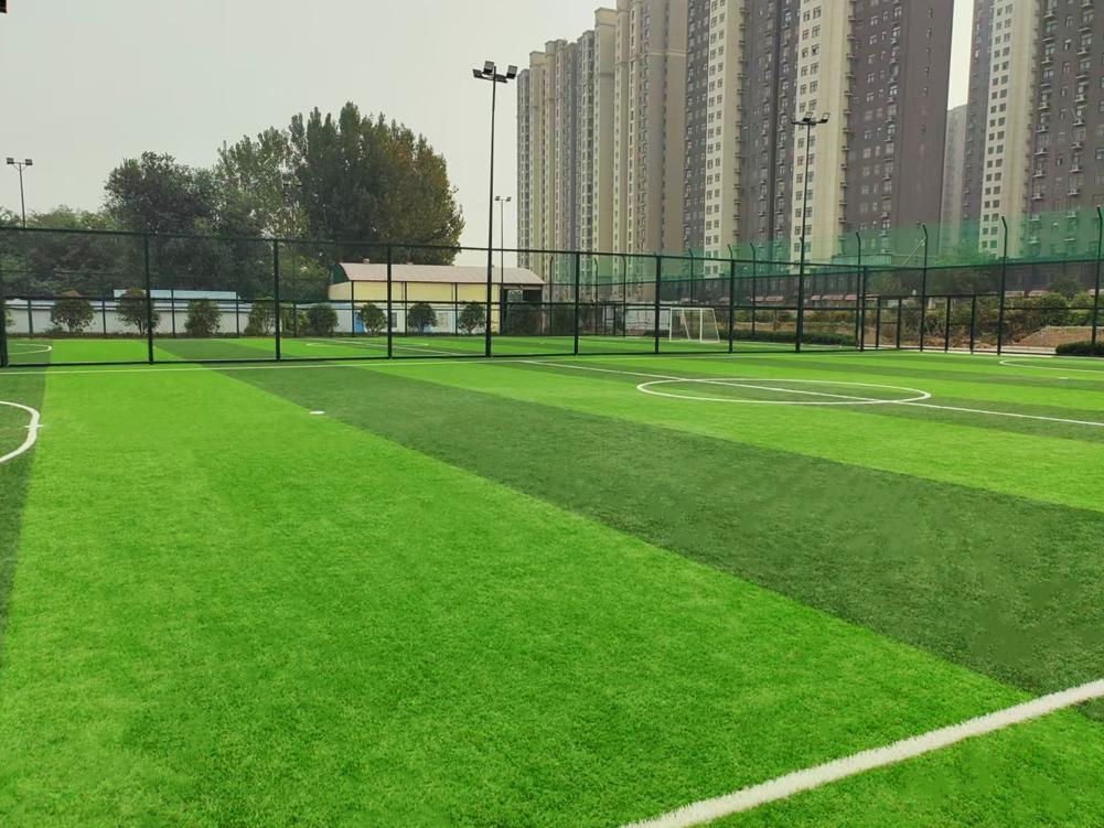 Zhengzhou Sias University Football Field