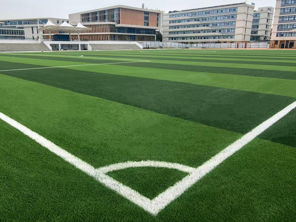 Suzhou Taihu Tourism Vocational School,V