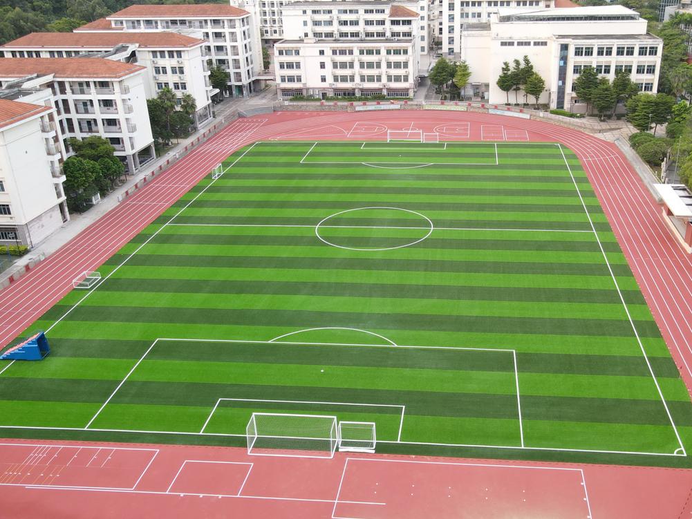 Xiamen Guanyinshan Music School,VIVATURF