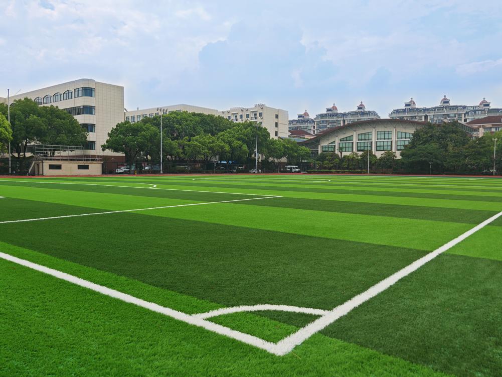 Shanghai Yangsi High School,VIVATURF Non