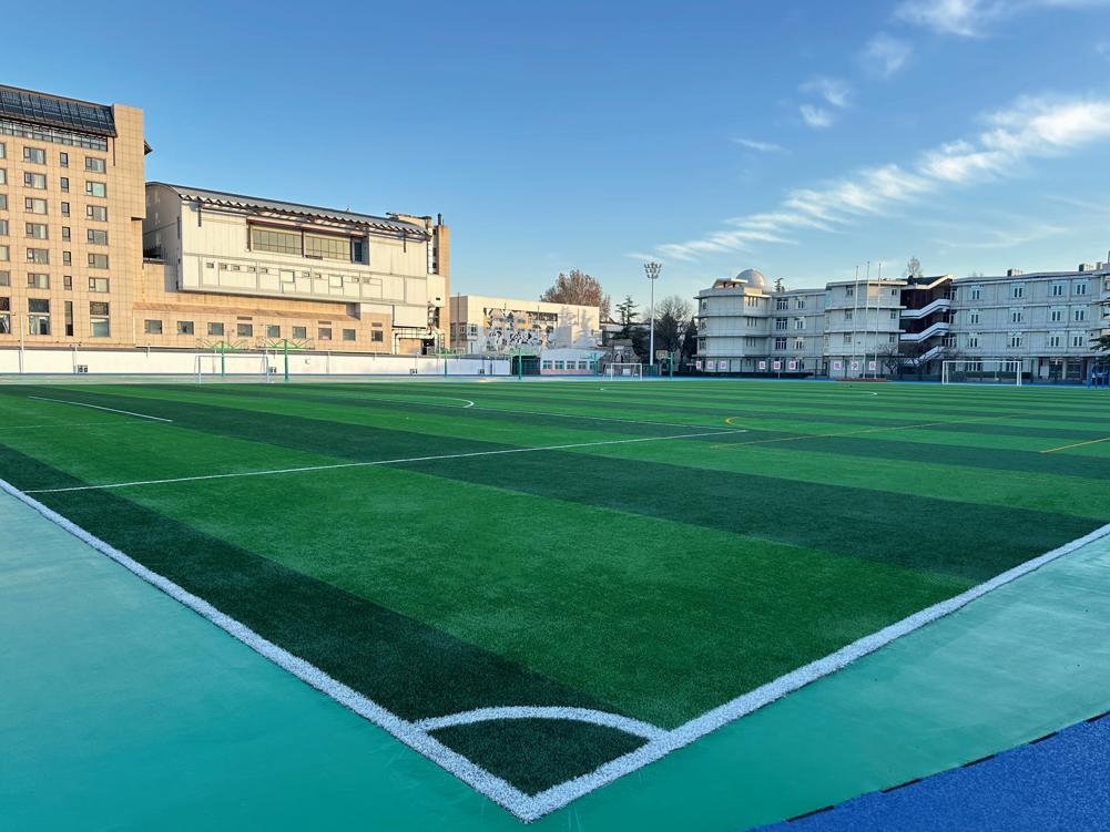 Beijing No.4 High School,VIVATURF Non In