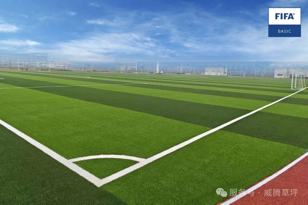 Green Low-Carbon Circular Economy Demons